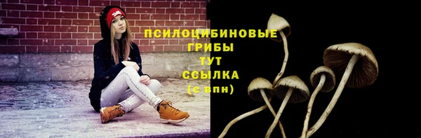 mix Алексеевка