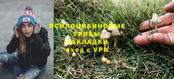 сатива Алексин